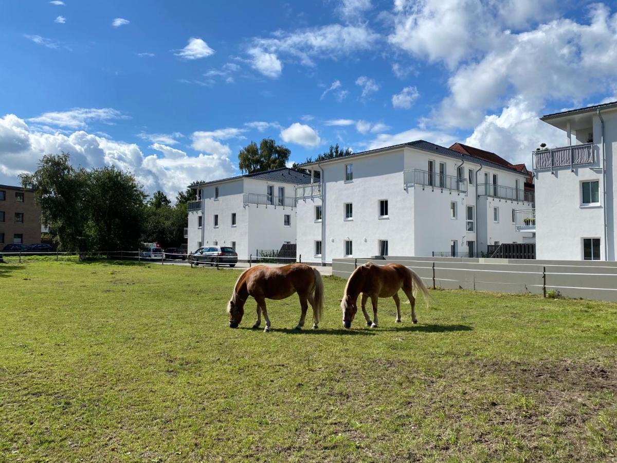 Schoener Wohnen Im Herzen Oldenburgs Exterior foto